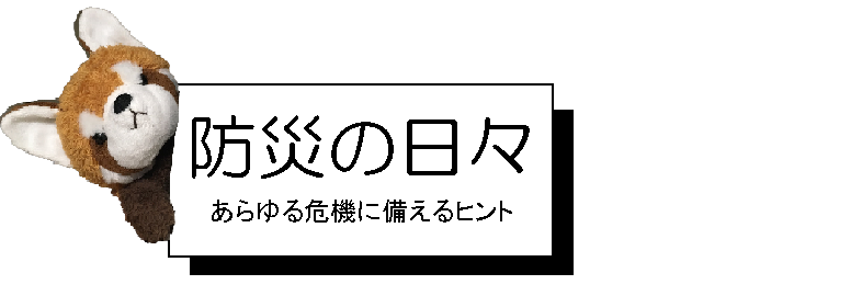 【備蓄防災】南海トラフ巨大地震の避難生活